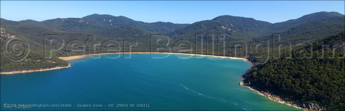 Peter Bellingham Photography Sealers Cove - VIC (PBH3 00 33621)